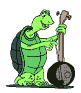 tartaruga benjo.gif